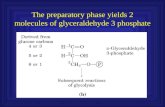 The preparatory phase yields 2 molecules of glyceraldehyde 3 phosphate.