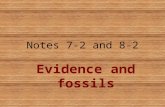 Notes 7-2 and 8-2 Evidence and fossils. Evidence of evolution Similar body structures Patterns of early development Molecular structure Fossils.