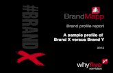 Brand profile report A sample profile of Brand X versus Brand Y 2015.