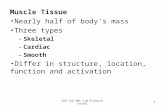 Muscle Tissue Nearly half of body's mass Three types – Skeletal – Cardiac – Smooth Differ in structure, location, function and activation BIO lab 105--Lab.