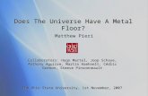 Does The Universe Have A Metal Floor? Matthew Pieri The Ohio State University, 1st November, 2007 Collaborators: Hugo Martel, Joop Schaye, Anthony Aguirre,