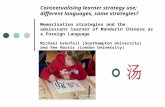 Contextualising learner strategy use; different languages, same strategies? Memorisation strategies and the adolescent learner of Mandarin Chinese as a.