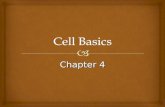 Chapter 4.   Living things are composed of cells.  Cells are the basic units of structure and function in living things.  All cells come from other.