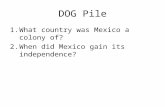 DOG Pile 1.What country was Mexico a colony of? 2.When did Mexico gain its independence?