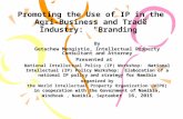 ” Promoting the Use of IP in the Agri- Business and Trade Industry: "Branding” By Getachew Mengistie, Intellectual Property Consultant and Attorney Presented.