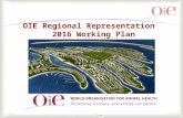 1 OIE Regional Representation 2016 Working Plan. 22 The main objective of the OIE RR ME activities for 2016 is to reinforce Veterinary Services capabilities.