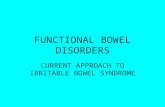 FUNCTIONAL BOWEL DISORDERS CURRENT APPROACH TO IRRITABLE BOWEL SYNDROME.