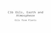 C1b Oils, Earth and Atmosphere Oils from Plants. Solar powered Plants use energy from the sun: energy from sun 6CO 2 + 6H 2 0 C 6 H 12 0 6 + 6O 2 Plants.