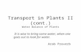 Transport in Plants II (cont.) Water Balance of Plants It is wise to bring some water, when one goes out to look for water. Arab Proverb.