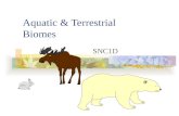 Aquatic & Terrestrial Biomes SNC1D. Biomes There are two major types of ecosystems: Aquatic Terrestrial Each can be subdivided further.