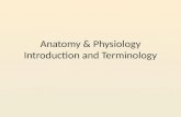 Anatomy & Physiology Introduction and Terminology.