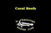 Coral Reefs. Slide–2 Understanding Coral  What is coral...  Here you see the jelly-like polyps Corals eat at night  Tentacles around mouth capture.