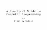 A Practical Guide to Computer Programming By Bjørn S. Nilsen.