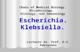 Chair of Medical Biology, Microbiology, Virology, and Immunology Escherichia. Klebsiella. Lecturer As. Prof. O.V. Pokryshko.