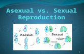 1. 2 Asexual Reproduction Sexual Reproduction Both Types of reproduction in living organisms Pass DNA from parent to offspring.