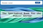 The Specialist Bank for the Public Sector 25-Jun-08 1 The Specialist Bank for the Public Sector Roxana Lazar.