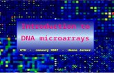 Introduction to DNA microarrays DTU - January 2007 - Hanne Jarmer.
