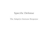 Specific Defense The Adaptive Immune Response. Specific Immunity Augments mechanisms of nonspecific defense Has memory about specific pathogens Second.
