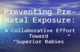 Preventing Pre-Natal Exposure: A Collaborative Effort Toward “Superior Babies”