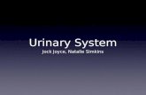 Urinary System Jock Joyce, Natalie Simkins. Function Produce, filter, and expel urine.
