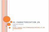 #4 C HARACTERIZATION CN Indirect/Direct STEAL  characterization