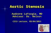Aortic Stenosis Audrone LaForgia, MD Advisor: Dr. Nelson CICU Lecture, 03/04/2011.