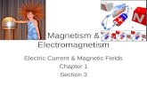 Magnetism & Electromagnetism Electric Current & Magnetic Fields Chapter 1 Section 3.