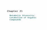 Chapter 21 Metabolic Diversity: Catabolism of Organic Compounds.