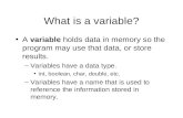 What is a variable? A variable holds data in memory so the program may use that data, or store results. –Variables have a data type. int, boolean, char,