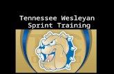 Tennessee Wesleyan Sprint Training. REMIND SEND: @sprinters TO: 81010 Save it in contacts as Sprint Group Message All team announcements.