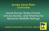 Anoka Sand Plain Overview Sand Dunes State Forest, Uncas Dunes, and Sherburne National Wildlife Refuge MINNESOTA DEPARTMENT OF NATURAL RESOURCES.