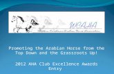 Promoting the Arabian Horse from the Top Down and the Grassroots Up! 2012 AHA Club Excellence Awards Entry.