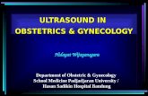 ULTRASOUND IN OBSTETRICS & GYNECOLOGY Hidayat Wijayanegara Department of Obstetric & Gynecology School Medicine Padjadjaran University / Hasan Sadikin.