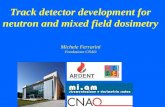 Track detector development for neutron and mixed field dosimetry Michele Ferrarini Fondazione CNAO.