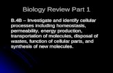 Biology Review Part 1 B.4B – Investigate and identify cellular processes including homeostasis, permeability, energy production, transportation of molecules,