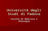 Università degli Studi di Padova Facoltà di Medicina e Chirurgia.