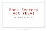 Bank Secrecy Act (BSA) BSA-AML-OFAC-CIP Overview  02/2010.