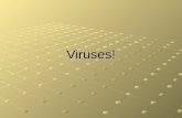 Viruses!. Agenda- 3/18/2015 Kahoot: Take out an electronic device and sign on to kahoot.it Notes on Viruses Homework: Taxonomy Quizzes (2) due Friday.