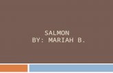 SALMON BY: MARIAH B.. Salmons Population At the moment, salmon's population has decreased. Within ten years, scientists predict that some salmons will.