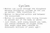 Cycles Matter can cycle through the biosphere because biological systems do not use up matter, they transform it. Matter is Recycled within and between.