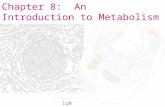 Chapter 8: An Introduction to Metabolism. 1.What is metabolism? All of an organisms chemical processes 2.What are the different types of metabolism? Catabolism.
