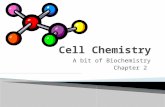 A bit of Biochemistry Chapter 2.  List the major chemical elements in cells.  Identify the function of the four major molecules or compounds in cells.