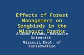 Effects of Forest Management on Songbirds in the Missouri Ozarks Andrew Forbes, Resource Scientist Missouri Dept. of Conservation.