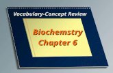 Vocabulary-Concept Review Biochemstry Chapter 6. Two units of sugar. Disaccharide.