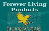 Forever Living Products. FLP was founded by Mr. Rex Maughan in 1978. For 30 years it has achieved the sales for $2 500 000 000. FLP works in 120 countries.