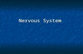 Nervous System. Agriculture, Food, and, Natural Resource Standards Addressed AS.01.01. Evaluate the development and implications of animal origin, domestication.