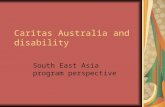 Caritas Australia and disability South East Asia program perspective.