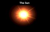 The Sun. Discussion What does it mean to say the Sun is in hydrostatic equilibrium?