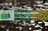 Food Safety Hazards Chemical, Physical, Allergens.