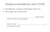 Temporomandibular Joint (TMJ) Mandibular condyle articulate with the _ Two types of movement – ____________________________– depression and elevation of.
